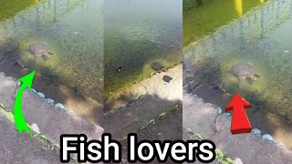 Fish lovers|| at kanaklata park_north East gohpur #fish #hindivlog