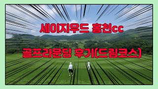 [골프스윙/골프성수기/세이지우드/세이지우드홍천/1박2일골프여행/골프여행] 친구들과 함께했던 1박2일 골프여행 첫째날 후반 라운딩 영상