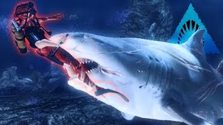 BULL SHARK! - Most Aggressive Shark! - Depth | Ep5 HD