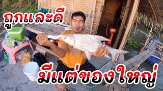 แพตกปลา 🐠 แม่น้ำเจ้าพระยาถูกที่สุดในอยุธยา // เจอแต่ของใหญ่ งานนี้ต้องมีซ้ำ