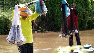 หว่านแหเรืออีโปงน้ำลึก 10 เมตร ช่วงฤดูน้ำหลาก Catch many fish using net in Thailand.