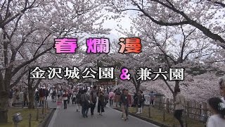 春爛漫　金沢城公園＆兼六園の桜