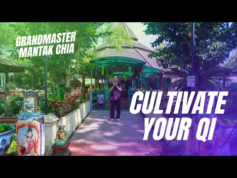 How do you cultivate energy?