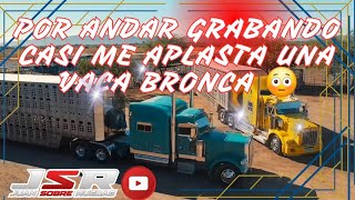 CARGANDO KENWORTH T800 GANADERO PARA LLEVARLAR A CULIACAN, SIN| CASI TERMINAMOS APLASTADOS 😱  #truck