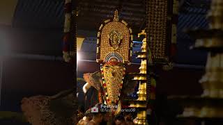 Ambady Balanarayanan | #AmbadyBalan #Uthralikkavu #Wadakkanchery #PooramNight #TempleFestivals