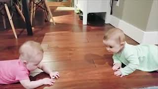 Cutest Baby Family Moments - Fun and Fails Baby Video/ uploaded by fun & fails