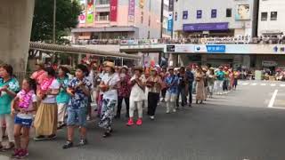 2017藤沢市民祭りウクレレマーチングバンド3