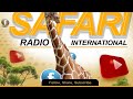 SAFARI INTERNATIONAL MEDIA's Live broadcast