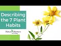 Different Type of Plants - Describing the 7 Plant Habits - Nature Matters Academy