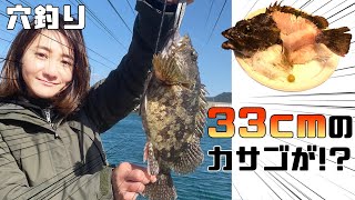 【穴釣り】これが五島の本気だ！３３cmのカサゴを釣って食べる【五島列島】