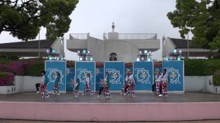 京都山城みつば家（よさこい夢まつり2015）本祭一日目