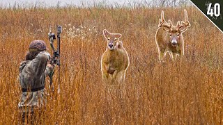 Hunting Doe Bedding Areas to Find Locked Down Bucks! - West Virginia Public Land