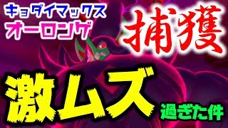 【ポケモン剣盾】マスターボール案件!? キョダイマックスオーロンゲ捕獲ムズすぎ！【生配信切り抜き】