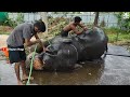 ആനക്കൊത്ത ഉടമയും ഉടമക്കൊത്ത ആനയും i shimil u0026 kaveri elephant ternding aana