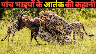 जब पांच चीता भाइयों ने बिछाया लाशों का ढेर - एक सच्ची कहानी । Facts Phylum