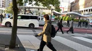 Asian developed country Japanese rural city kawasaki walking Dec 2024 亚洲发达国日本的都市川崎一切没有垃圾桶但是路上没有垃圾