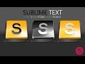 Sublime text 3 tutorial : Creating Custom Code Snippets