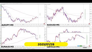 【RCCで振り返る】2025年01月28日対オージーの4通貨ペア