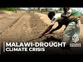 Malawi drought: Government declares a state of emergency