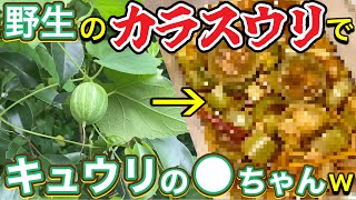 【衝撃】激マズと悪名高いウリを全力で料理した結果www