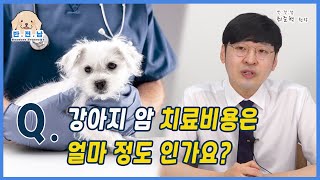 [반.전.남2] Q. 강아지 암 치료 비용 얼마 정도 인가요? | 영남일보