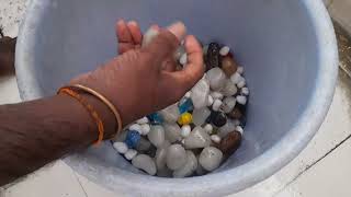 மீன் தொட்டி கலர் கல் கழுவி my Black Shark Two Fish Tank Cleaning colors Stones clean PART,4 🐋🐋🐋