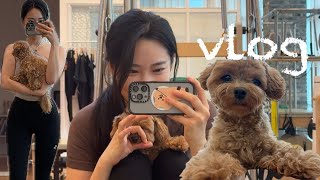 Vlog 8년차필라테스강사 일상브이로그 로로랑 브런치카페 베이킹 인사이드아웃2 노들섬공연 원대구탕