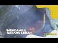 Mengambil Sarang Lebah | SI BOLANG (09/09/22)