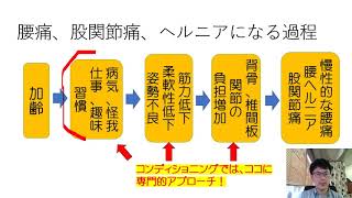 初回カウンセリングで、痛みの根本原因を探ります。