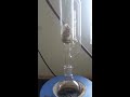 soxhlet extraction