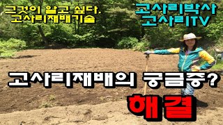 고사리재배의 궁금증? 해결! 고사리종근 식재시기, 고사리재배 풀 제거, 식재 후 퇴비 시기, 고사리대 관리, 귀농귀촌작물 고사리뿌리 분양