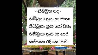 නිබිබුත පද තේරුම ඉංග්‍රිසියෙන් සහ සිංහලෙන්