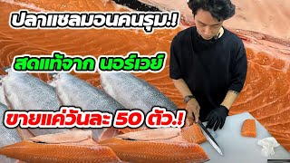 สดแท้จากนอร์เวย์‼️ขายดีมาก!!ขายแค่วันละ50ตัว​ สายแซลมอนไม่ควรพลาด