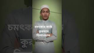 হৃদয়কারা সুরে কুরআন তিলাওয়াত // #smshahinur #youtybeshorts #shortvideo #quranrecitation #viralvideo