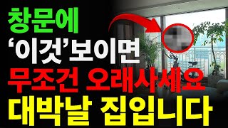 창문으로 '이것' 보이는 집은 큰 번영이 생길 집입니다. 이런 집은 전세이든 월세이든 무조건 오래 사셔야 합니다. l 재물운 풍수 풍수인테리어 명당