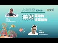 人与自然 ep06：珊瑚是动物还是植物