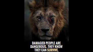 Damaged People Are Dangerous.They Know They Survive || #shorts || #psytrance ||