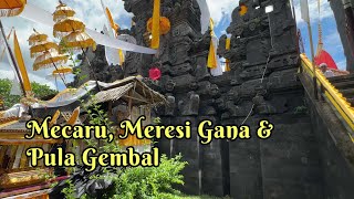 Mecaru, Meresi Gana dan Pula Gembal Rangkaian Ngenteg Linggih Pura Dalem Mendoyo Dauh Tukad