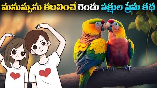 మనసును కదిలించే రెండు పక్షుల ప్రేమ కథ|| Best motivational video in Telugu.