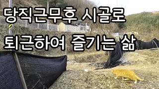 당직 근무후 시골로 퇴근하여 즐기는 삶