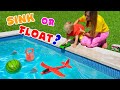 Sink or Float with Vlad and Niki - Cool Science Experiment for Kids