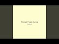 Tranquil Fragile Aurora