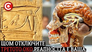 Третото око - Епифизната жлеза: Най-Голямото Прикриване в Човешката История