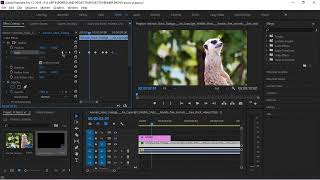 Premier Pro Keyframe Basics In Sinhala | Mr.photos - 3D