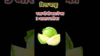 बिना चाकू पत्ता गोभी काटने का 3आसान तरीका #cutting#kitchentips #shorts