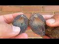 rockhounding for stunning blue opal geodes thundereggs