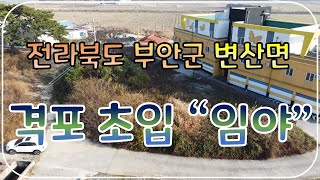 (No.80)전북 부안군 변산면 격포 바다 인근 토지 대장에 등재 된 임야 295평 매매 국유지 도로 접함