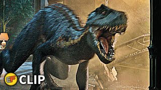 Indoraptor Chasing Maisie Scene | Jurassic World Fallen Kingdom (2018) Movie Clip HD 4K
