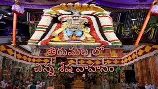 TIRUMALA LO CHINNA SESHA VAHANAM తిరుమల లో చిన్న శేష వాహనం