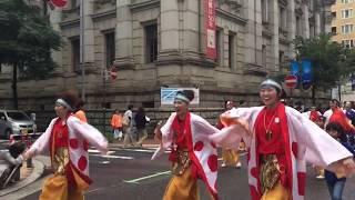 横浜よさこい祭り2017年　の様子　 @横浜関内馬車道